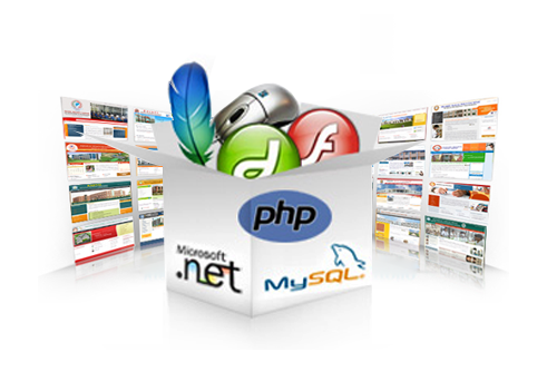 Megaweb nơi có những ý tưởng thiết kế website phong phú, đa dạng